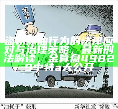 盗窃原油行为的法律应对与治理策略，最新刑法解读，金算盘49829中特a大公开