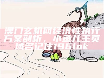 澳门玄机网经济性执行方案剖析，小鱼儿主页域名记住196lok