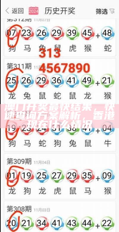 奥门马今晚开奖，解析系统化说明，4949澳门正版资料大全免费