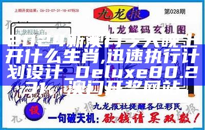 2024年新澳门开奖结果查询,准确资料解释落实_安卓版86.59，王中王493333www