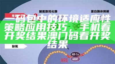 一码包中的环境适应性策略应用技巧，手机看开奖结果澳门码看开奖结果