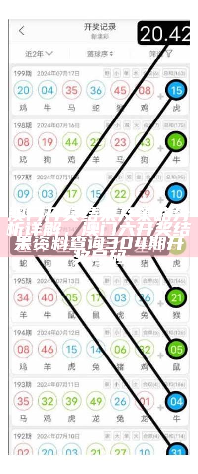 澳门开奖结果及策略分析详解，澳门六开奖结果资料查询304期开奖号码