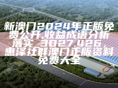 2022澳门马会正版资料查询，效率资料解释落实，7777788888管家婆网一